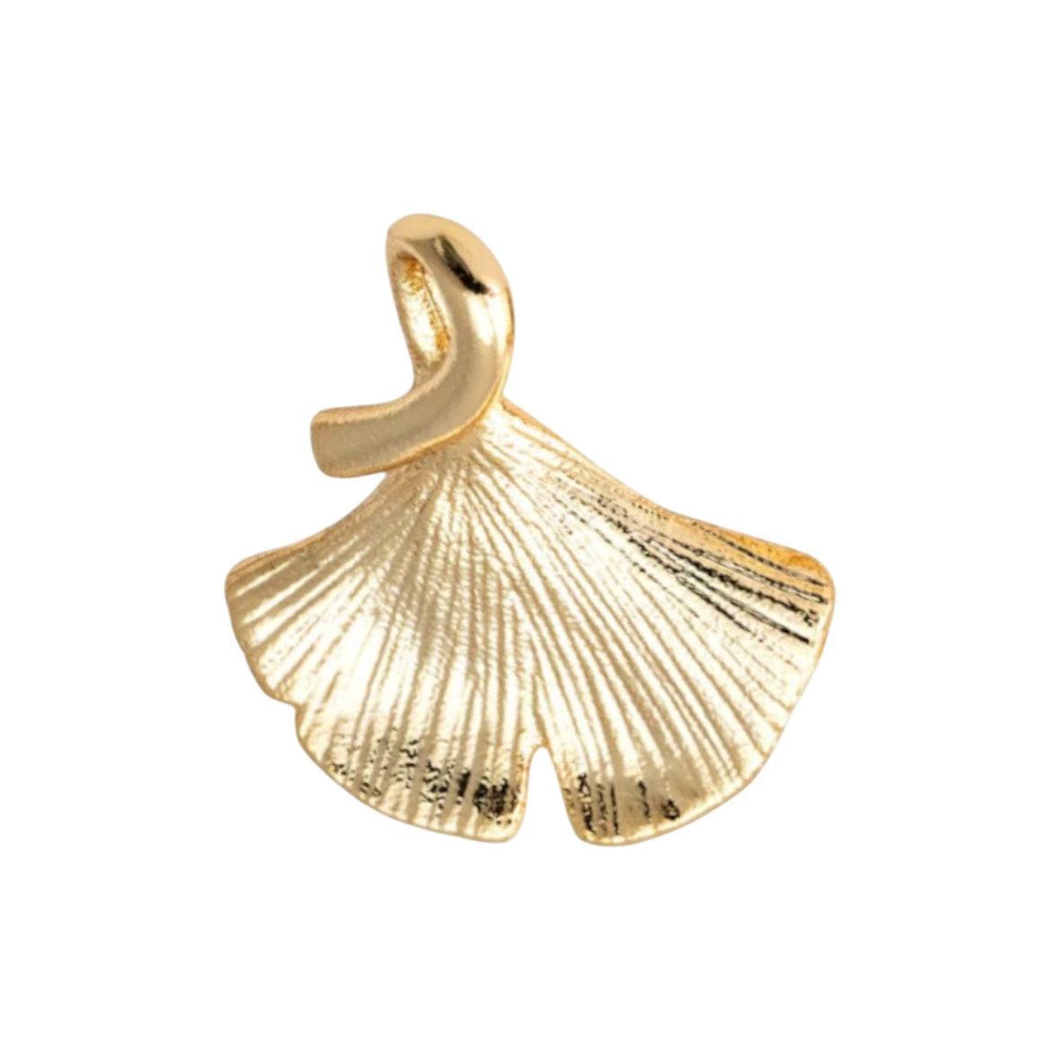 Ginkgo