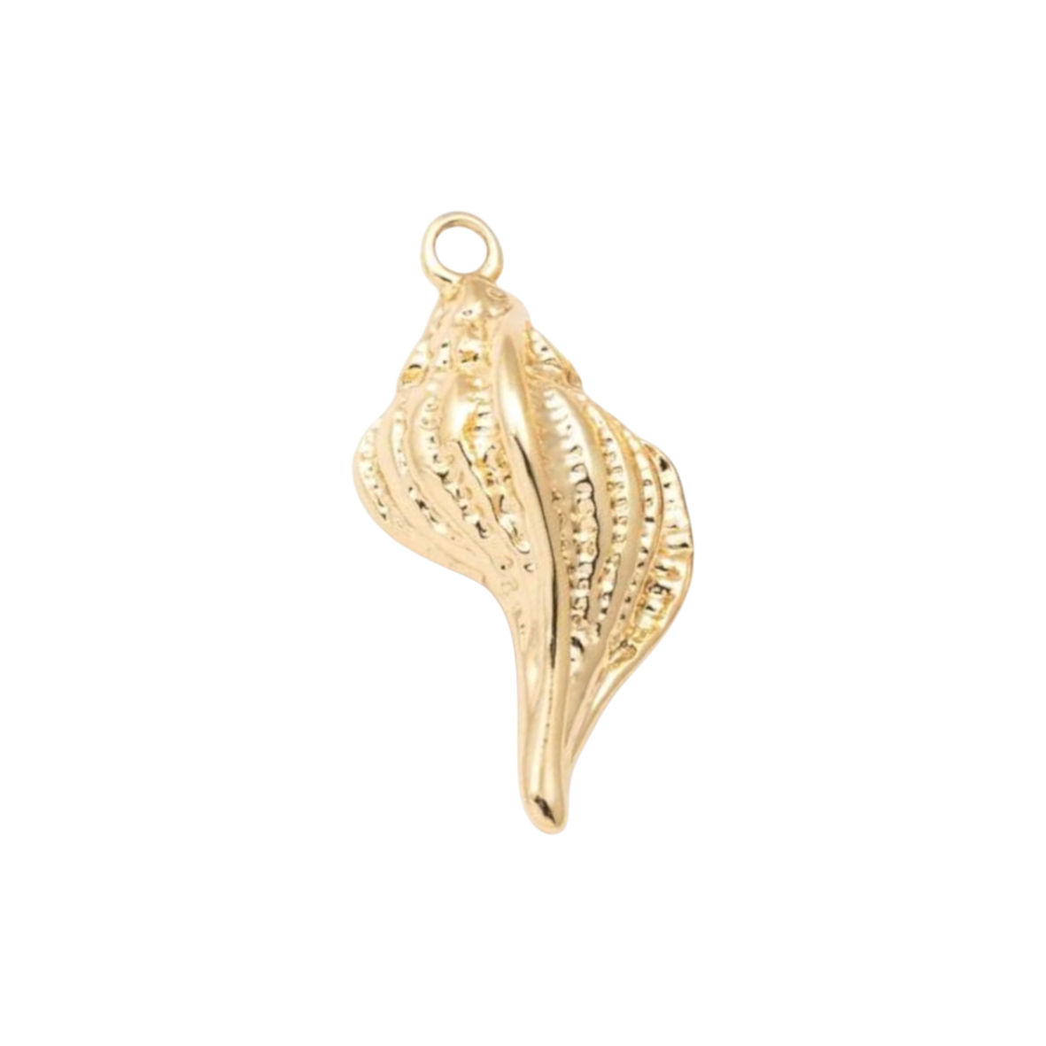 Conch Shell